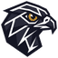 FalconEye